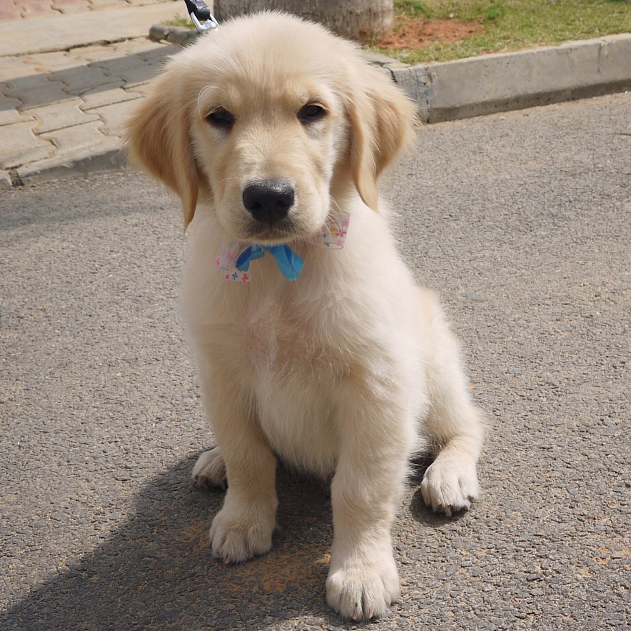 Living in the&nbsp;moment